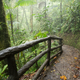 A path in Mistico Arenal Hanging Bridges Park in Costa Rica
iStock